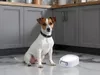 купить Миска для собак и кошек Easy Pet IMPCBA110 bowl with integrated scale в Кишинёве 