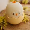 купить Ночной светильник Mary’s MW61248 LED RGB Sleepy Chick в Кишинёве 
