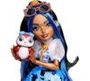 cumpără Păpușă Mattel JMB81 Monster High, Robecca Steam cu pinguin în Chișinău 