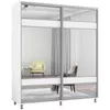 купить Шкаф Mobildor-Lux Арон с раздвижными дверями с зеркалом зебра (220x60x200H см) Brilliant White в Кишинёве 