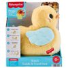 cumpără Jucărie de pluș Mattel JMX99 Fisher Price Уточка în Chișinău 