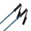 cumpără Bețe de schi Rossignol TACTIC BLUE 130 în Chișinău 
