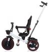 cumpără Bicicletă-cărucior Chipolino Alpha 360° Poppy (TRKAL0234PO) în Chișinău 