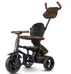 cumpără Bicicletă-cărucior Qplay Rito Deluxe Brown în Chișinău 