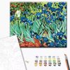 cumpără Tablou pe numere BrushMe RBS51339FC 30x40сm (fără cutie) Iriși. Vincent van Gogh în Chișinău 