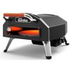купить Печь электрическая компактная ArtFlame XN16P pe gaz din otel inoxidabil в Кишинёве 