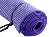 cumpără Covoraș fitness inSPORTline 3062 181*61*0,23 cm Yogine 10913 în Chișinău 