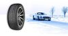 купить Шина Comforser 215/55 R17 Winter CF930 98H в Кишинёве 