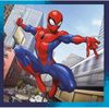 купить Головоломка Trefl 34874 Puzzles 3in1 Spider friends, Disney Marvel Spiderman в Кишинёве 
