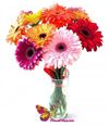 Buchet din gerbera mix