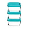 cumpără Container alimentare Promstore 24975 Set de 3 recipiente Frigoverre Baby cu capac, 0.345L, 10x10cm, sticla, transparent în Chișinău 