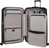 купить Чемодан Samsonite Image 81/31 TSA Exp Negru (154694/1041) в Кишинёве 