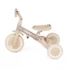 купить Велосипед-коляска Petite&Mars 613364 Tricicleta evolutiva 5in1 Turbo Limited Edition Pink Meadow в Кишинёве 