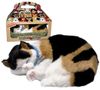 купить Игрушка Perfect Petzzz 92-16 Jucărie interactivă Pisicuța calico в Кишинёве 