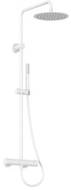 купить Душевая панель Ravak Spring termostatica white matt SG 091.10WHM (X070579) в Кишинёве 