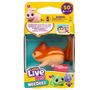 cumpără Jucărie Little Live Pets 26655 Needees single pack (asort.) în Chișinău 