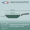 купить Сковорода Tefal G0167702 Halo Eucalyptus Wok 26cm в Кишинёве 