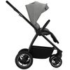 купить Детская коляска Lionelo Carucior 2in1 Meril Grey Stone в Кишинёве 
