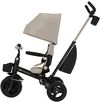 купить Велосипед-коляска KinderKraft KRAVEO02BEG0000 Aveo 2 Plus Beige в Кишинёве 