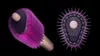 купить Фен-щетка Dyson HB01 Airsmooth Ceramic Pink в Кишинёве 