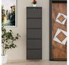 купить Полка для обуви Trendy Locking 5 Piece Metal-Anthracite, 50x169x15cm в Кишинёве 
