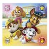 cumpără Puzzle Clementoni Puzzle 3x48 Paw Patrol 2 (25301) în Chișinău 