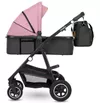 купить Детская коляска Lionelo Amber 2in1 Pink Rose в Кишинёве 