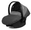 купить Детская коляска Babyactive Twinni 3в1 Silver в Кишинёве 