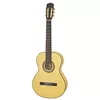 cumpără Chitară Aria A-20F Flamenco Chitara Classic în Chișinău 