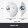 cumpără Mouse Logitech Ergo M575 White în Chișinău 