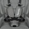 купить Детская коляска Lionelo Carucior 2in1 Meril Grey Stone в Кишинёве 