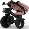 купить Велосипед-коляска KinderKraft KRAVEO02PNK0000 Aveo 2 Plus Pink в Кишинёве 