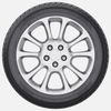 cumpără Anvelopă Fortune 165/65 R14 79T FSR-901 în Chișinău 
