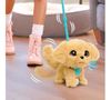 cumpără Jucărie de pluș Hasbro 28162 Furreal Wag-a-lots Golden Retriever în Chișinău 