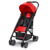 купить Детская коляска Recaro Easylife Ruby (5601.21361.66) в Кишинёве 