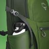 cumpără Rucsac sportiv Osprey Daylite Plus Green Belt/Green Canopy (843820185485) în Chișinău 