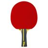 cumpără Articol de tenis Tibhar SL-00014430 Paleta tenis de masa 3 Rookie Drinkhall 03011 în Chișinău 