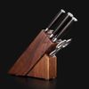 купить Аксессуар для кухни Takumi Suport pt cutite Knife Holder Acacia Wood 6 Slot в Кишинёве 