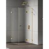купить Душевая кабина New Trendy Eventa Gold Shine Rectangular R 100x100x200 cm 8mm EXK-4734 в Кишинёве 