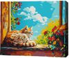 cumpără Tablou pe numere BrushMe MG0011FC 40х50cm (fără cutie) Pisică la fereastră în Chișinău 