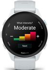 cumpără Ceas inteligent Garmin Forerunner 70, GPS, Whitestone, WW (010-04307-01) în Chișinău 