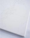 купить Картина по номерам BrushMe BS53704 40x50 cm (în cutie) Frunze de palmier в Кишинёве 