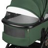 купить Детская коляска Lionelo Carucior 2in1 Layla Green Forest в Кишинёве 