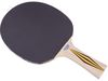 купить Теннисный инвентарь Donic 3214 Paleta tenis masa TOP TEAM Level 300/705031 в Кишинёве 