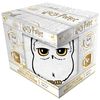 cumpără Cană Pyramid International FZMG2401037 Harry Potter (Hedwig) Fuzzy Mug în Chișinău 