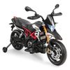 купить Электромобиль Golden Baby A007 Motocicleta electrica Aprilia, rosie, GB2212 в Кишинёве 