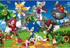 купить Головоломка Trefl 15421 Puzzles 160 Sonic and friends Sega Sonic The Headgehod в Кишинёве 