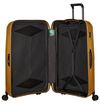 купить Чемодан Samsonite MAJOR-LITE (147120/2048) в Кишинёве 