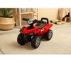 купить Толокар Toyz 2596 Quad Goodyear Red в Кишинёве 