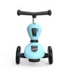 купить Самокат Scoot&Ride 96352 Highway 2in1 Kick 1 Blueberry, 1-5 ani в Кишинёве 